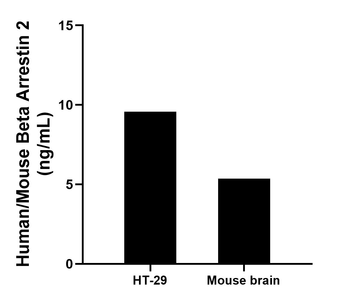 Sample test of MP01125-4